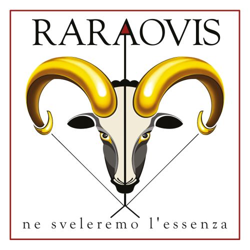 RARAOVIS - Ne sveleremo l'essenza Cd